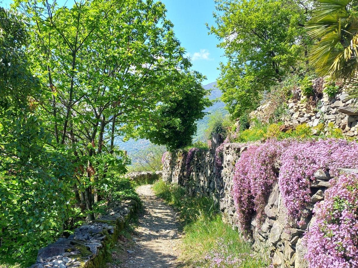 Antica Casa Al Lago Oggebio Exterior photo